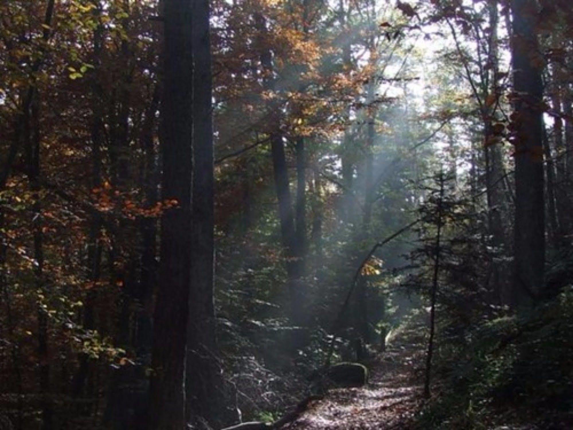 Auberge D'Hotes L'Instant Le Hohwald Buitenkant foto