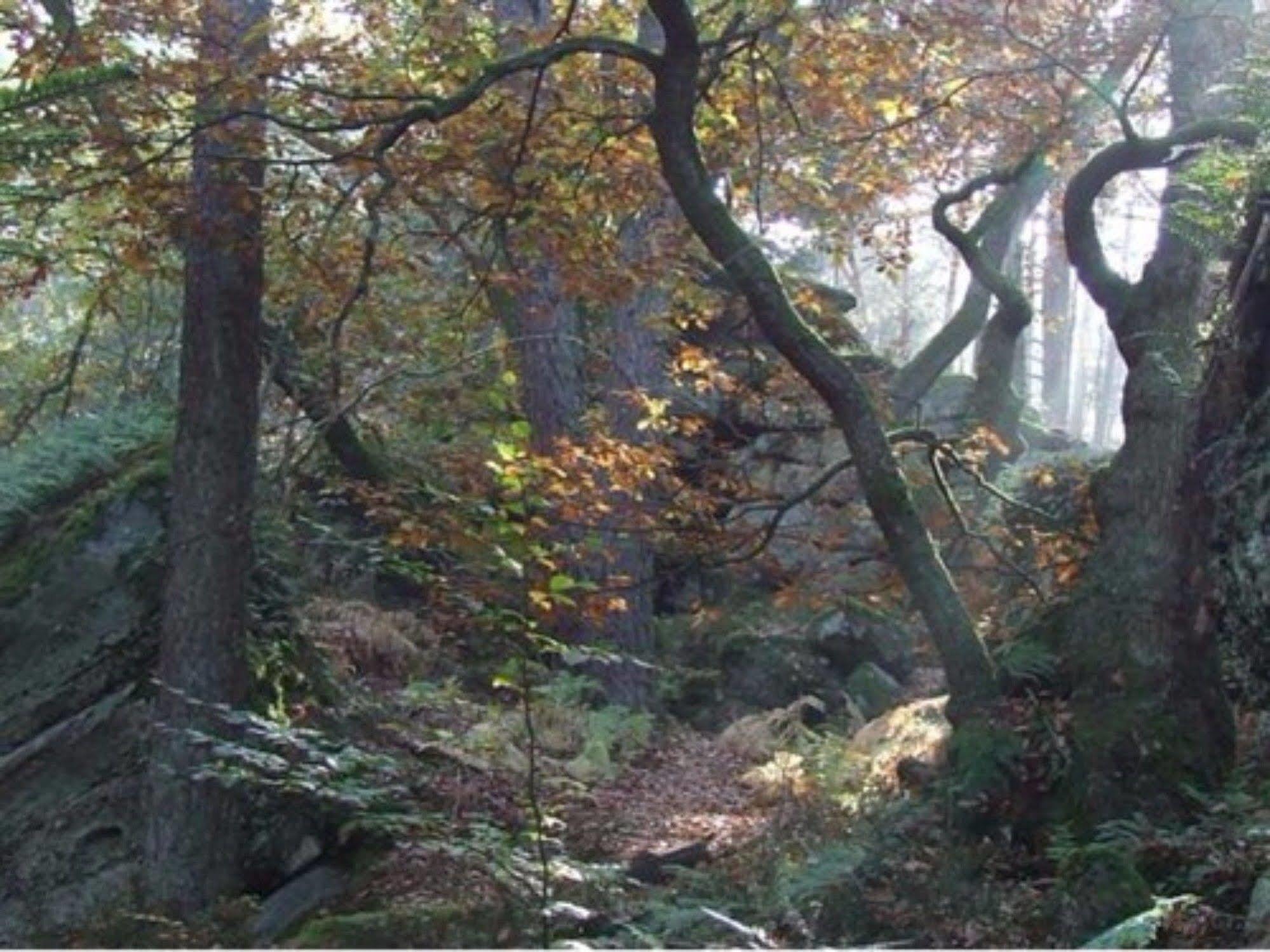 Auberge D'Hotes L'Instant Le Hohwald Buitenkant foto
